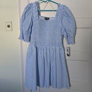 Everlily Adult Women's Dorothy Dress XL Halloween Costume Blue Gingham